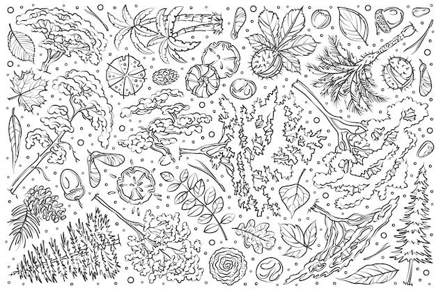 Ensemble D'arbres Dessinés à La Main Doodle