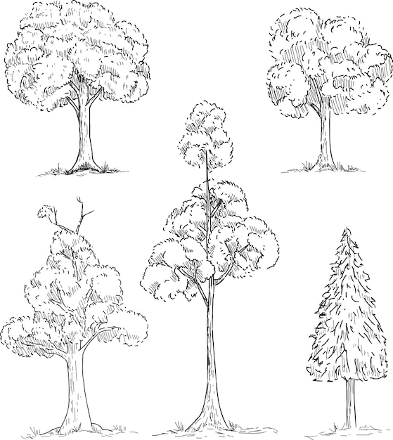 Ensemble D'arbres Dessinés à La Main