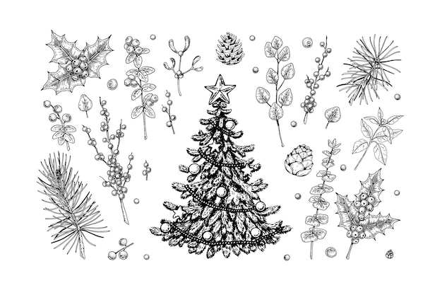 Ensemble D'arbres De Noël Décorés Dessinés à La Main, De Branches De Plantes, De Cônes Et De Baies