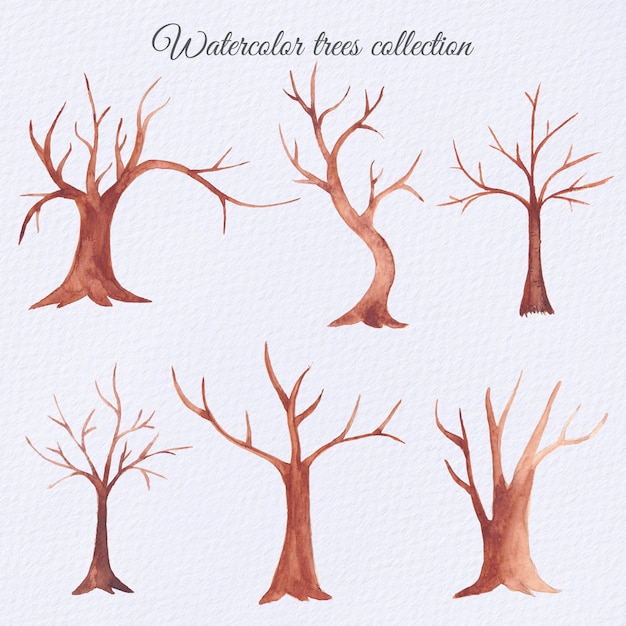 Ensemble D'arbres Secs Aquarelle