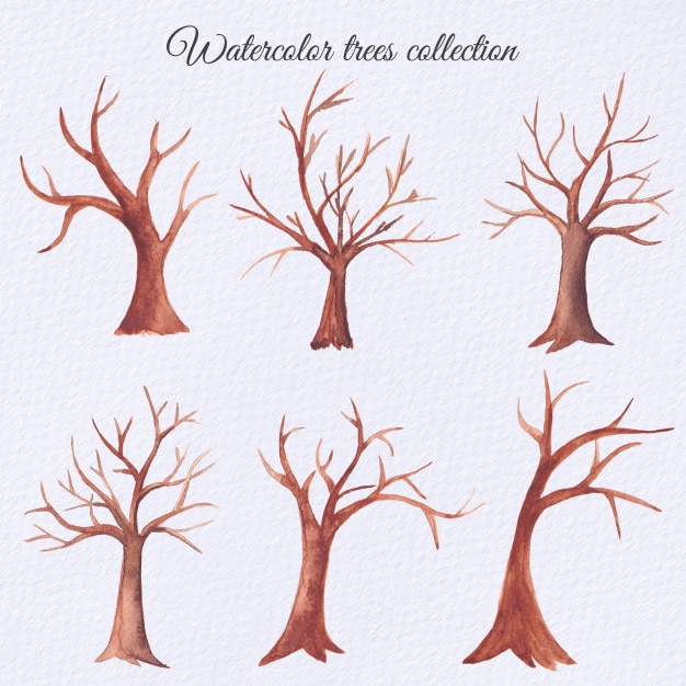 Vecteur ensemble d'arbres secs aquarelle