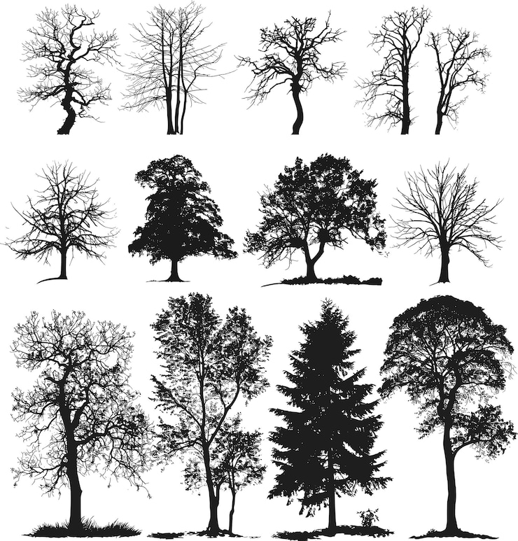 Vecteur ensemble d'arbres