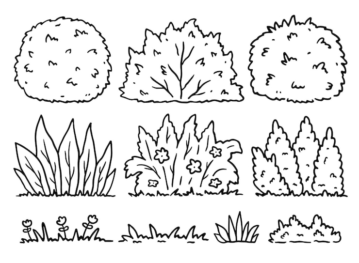 Vecteur un ensemble d'arbustes et d'herbes de différentes formes illustration vectorielle dessinée à la main dans le style de griffon.