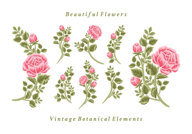 Vecteur ensemble d'arrangements de bouquet de fleurs roses vintage