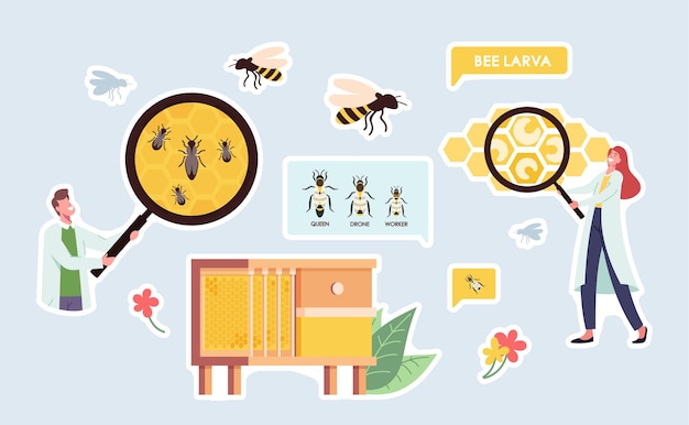 Ensemble D'autocollants Rucher, Thème De La Science De La Biologie. Caractère Scientifique Avec Une énorme Loupe, Des Abeilles à La Ruche, Une Reine Entourée De Travailleurs Sur Des Nids D'abeilles Et Des Drones. Illustration Vectorielle De Dessin Animé