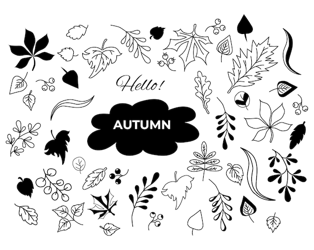 Ensemble D'automne Contour Et Silhouette Doodle De Diverses Feuilles Et Baies