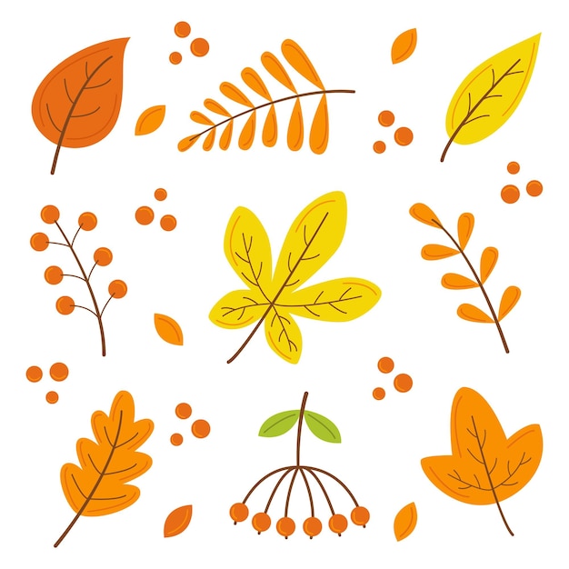 Ensemble d'automne Éléments d'automne Illustration vectorielle Feuilles d'automne