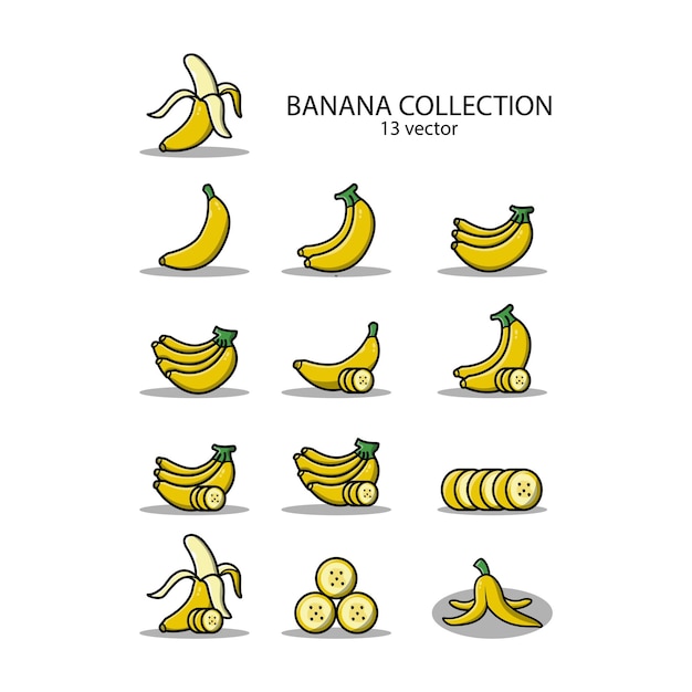 Vecteur ensemble banane