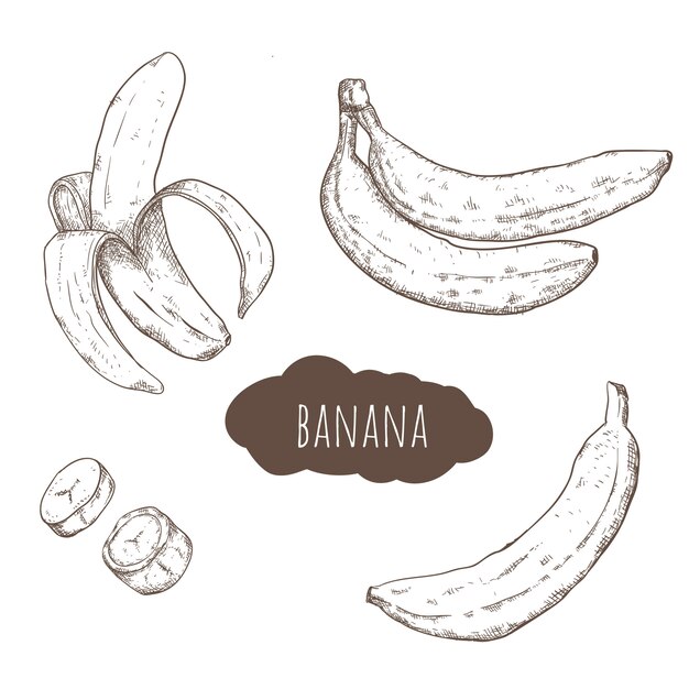 Ensemble de bananes dessinées à la main
