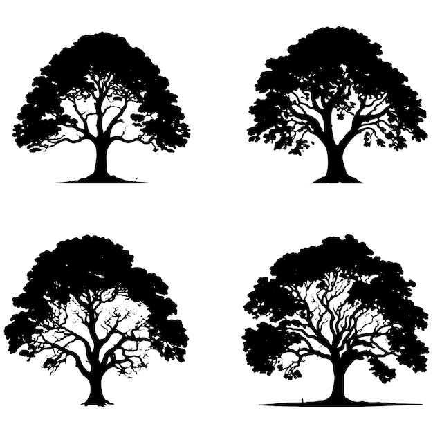 ensemble, de, banyan, arbres, silhouettes, grand arbre, noir, silhouette