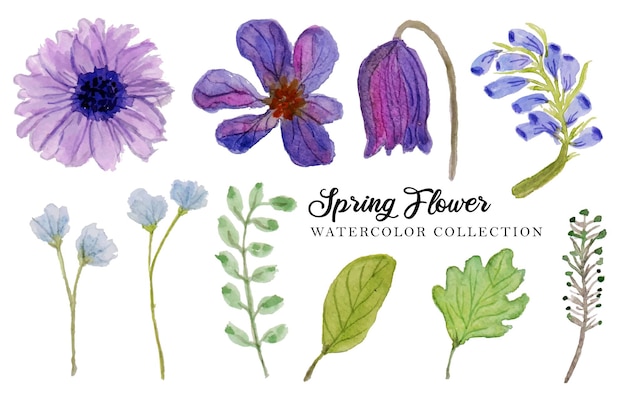 un ensemble de belles aquarelles de fleurs dessinées à la main