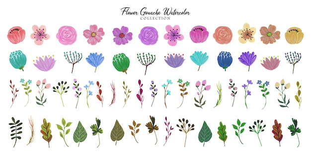 Un Ensemble De Belles Aquarelles De Gouache De Fleurs Peintes à La Main