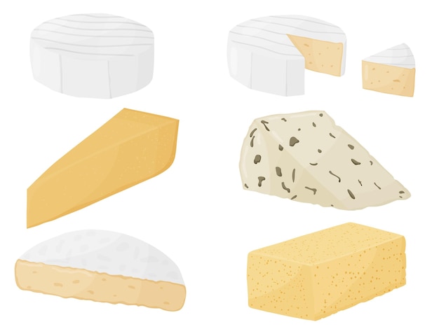Vecteur ensemble de blocs de fromage à pâte molle produit du marché agricole pour l'emballage de l'icône de l'affiche de l'étiquette