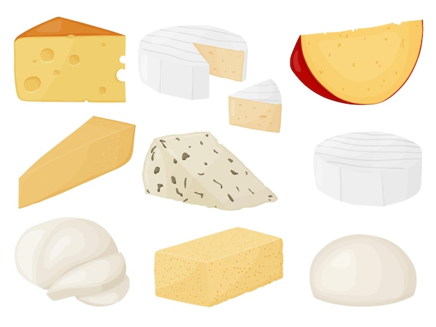 Vecteur ensemble de blocs de fromage à pâte molle produit du marché agricole pour l'emballage de l'icône de l'affiche de l'étiquette