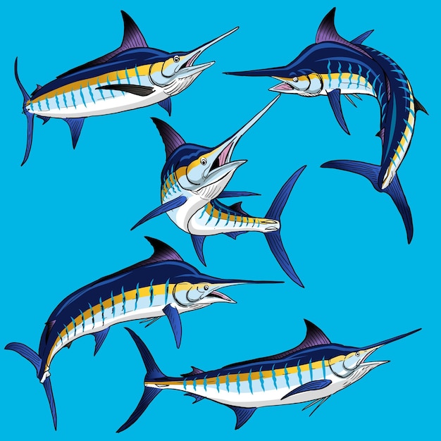 Vecteur ensemble de blue marlin pour gamefish collection