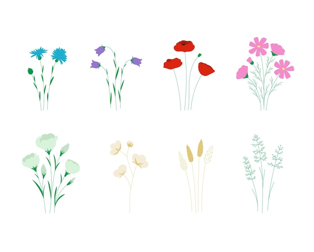 Ensemble Botanique De Plantes De Fleurs Sauvages Illustration Vectorielle Plane Colorée