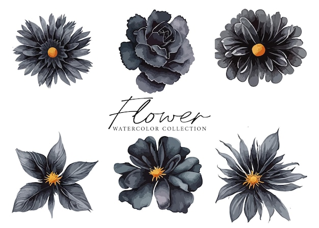 Ensemble De Bouquet Floral Noir Aquarelle