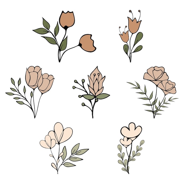 Un ensemble de bouquets de fleurs sauvages dans des nuances de beige qui se démarquent sur un fond blanc