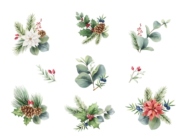 Ensemble De Bouquets De Noël Vecteur Aquarelle