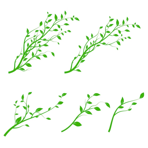 Ensemble de branche d'arbre vert. Silhouette de branche isolée sur fond blanc avec beaucoup de feuilles. Illustration vectorielle