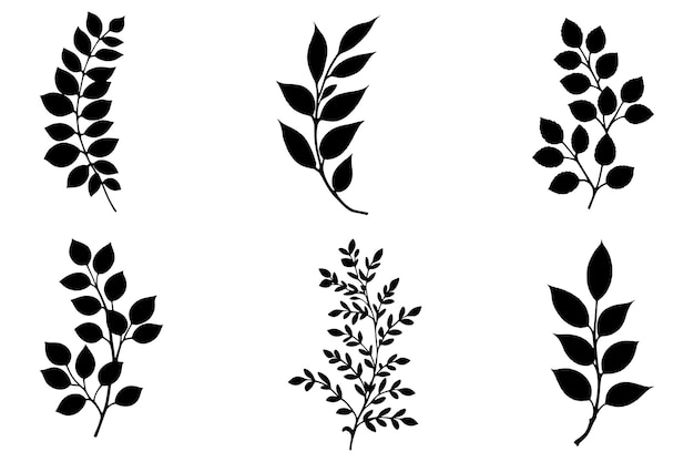 Ensemble de branches avec feuilles et silhouette de tige Illustration vectorielle