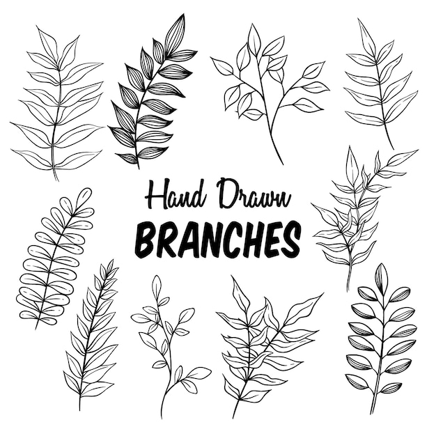 Ensemble de branches ou floral dessiné à la main sur fond blanc