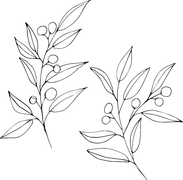 Ensemble de branches de plantes vectorielles graphiques avec feuilles et fleurs