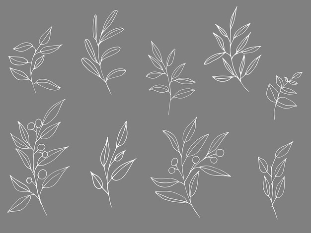 Ensemble de branches de plantes vectorielles graphiques avec feuilles et fleurs