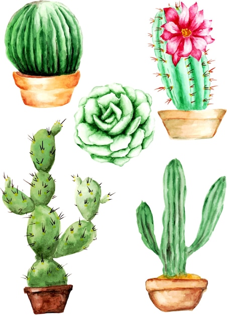 Ensemble de cactus aquarelle