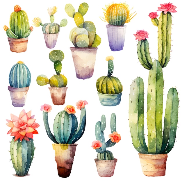 Vecteur ensemble de cactus aquarelle