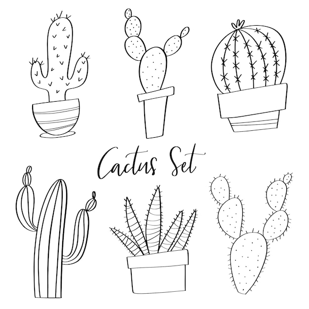Ensemble De Cactus Vector Dessinés à La Main Doodles