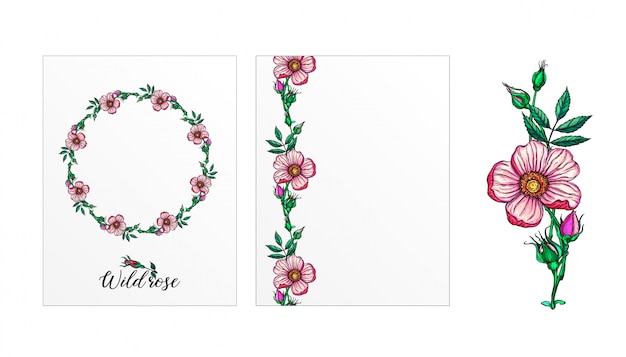 Un Ensemble De Cartes Postales Avec Des Fleurs Roses. Fleurs Roses. Rose.