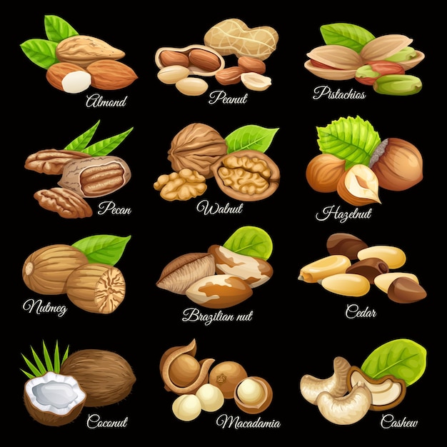 Ensemble de céréales alimentaires de noix.