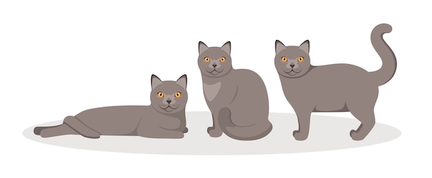 Vecteur un ensemble de chats britanniques sur fond blanc conception de dessin animé