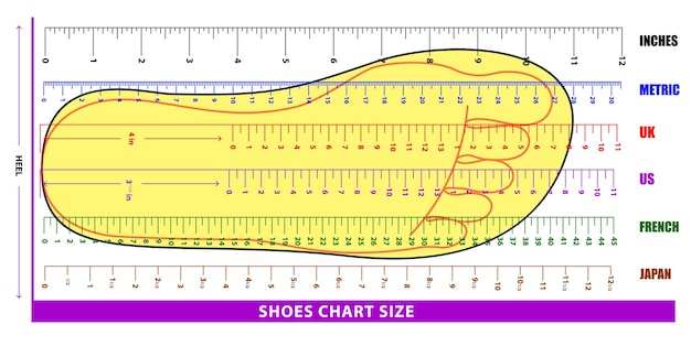 Ensemble De Chaussures Graphique Taille Ou Chaussettes Graphique Taille Ou Mesure  Pied Graphique Concepteps Vecteur