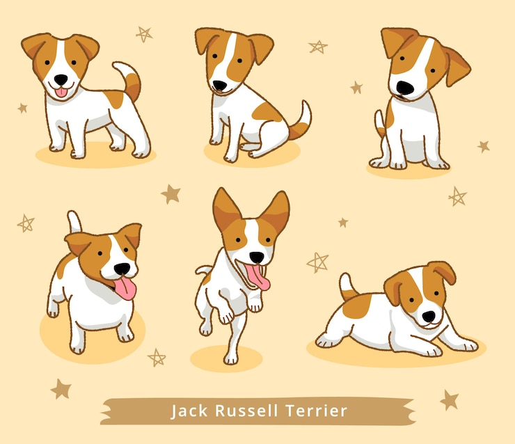 Vecteur ensemble de chien de dessin animé jack russell terrier