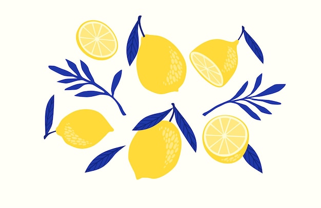 Vecteur ensemble de citrons dessinés. agrumes, citrons, limes. illustration. éléments isolés pour la conception