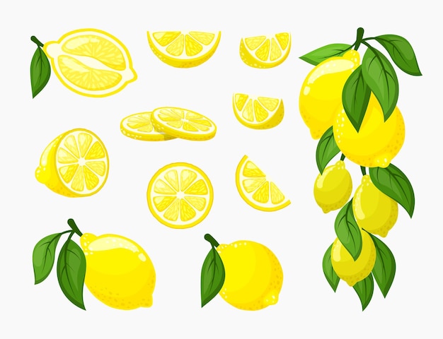 Vecteur ensemble de citrons.