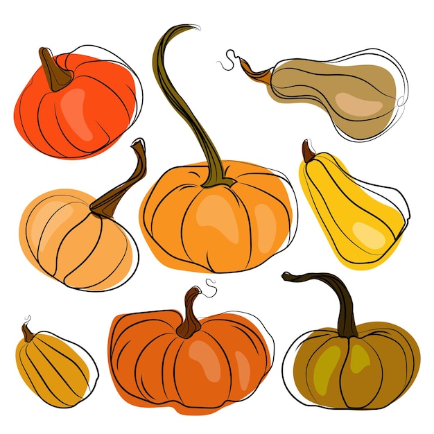 Un Ensemble De Citrouilles De Différentes Qualités Et Formes Dessinées à La Main. Collection Vectorielle De Citrouilles Mignonnes