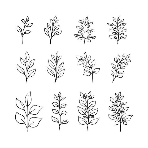 Ensemble de clipart de doodle à base de plantes dessinés à la main. Feuilles de branches minimalistes pour logo, herbe de mariage