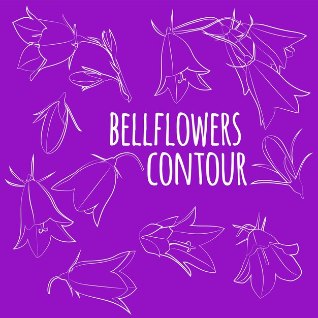 Ensemble de clochers feuilles et fleurs contour linéaire seulement pas de remplissage graphiques vectoriels