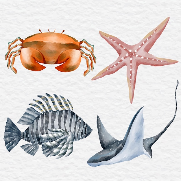 Ensemble de collection d'animaux de la vie marine aquarelle