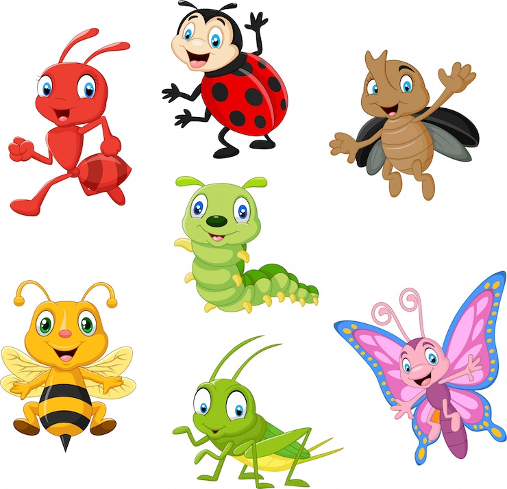 Vecteur ensemble de collection d'insectes drôle de dessin animé