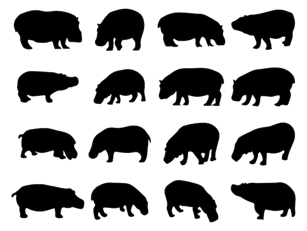 Vecteur l'ensemble de la collection silhouette hippo