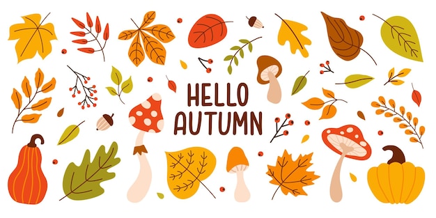 Ensemble coloré d'automne de feuilles de saison, citrouilles, champignons et glands isolés sur fond blanc