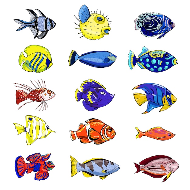 Vecteur ensemble coloré de poissons exotiques sur fond blanc illustration vectorielle dessinés à la main