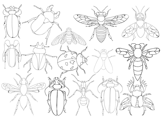 Vecteur ensemble de coloriage de livre de coléoptères d'insectes isolés vectoriels