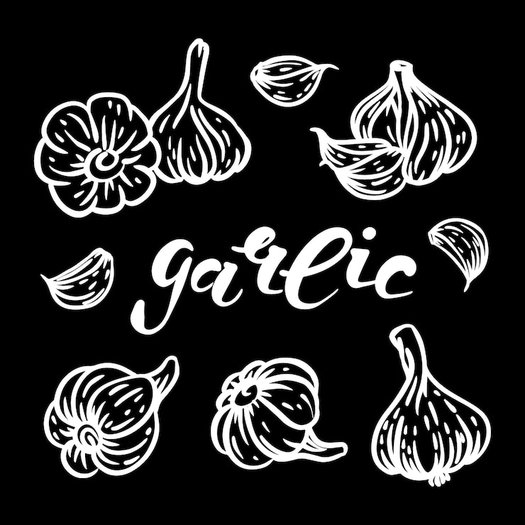 Vecteur ensemble de concept d'épicerie à l'ail
