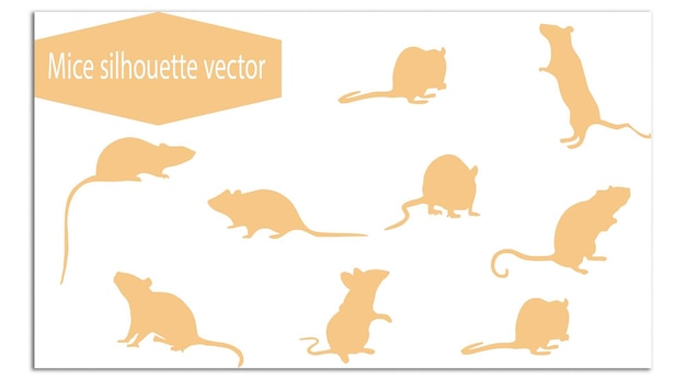 Ensemble de conception vectorielle abstraite