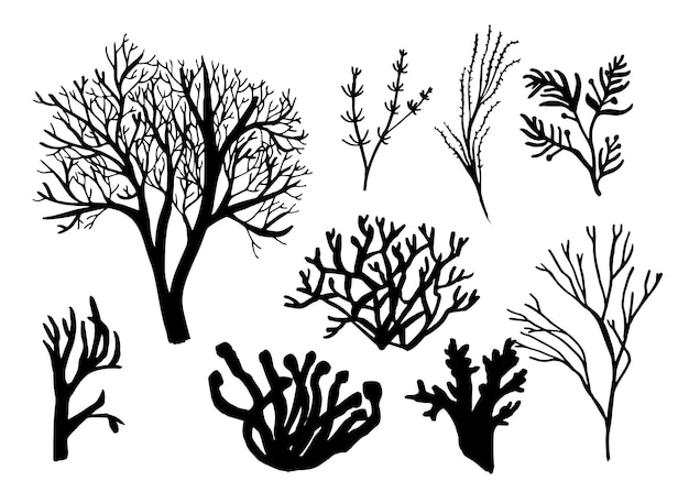 Ensemble De Coraux Et D'algues D'algues Différentes Silhouettes De Faune Sous-marine Illustration Noire